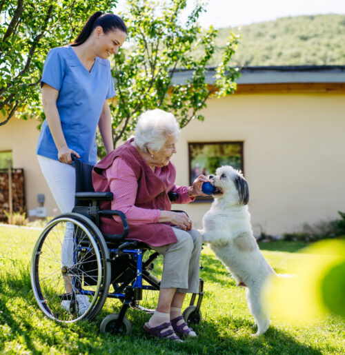 Caregiver provides daily home care service to elder patient with daily activities.